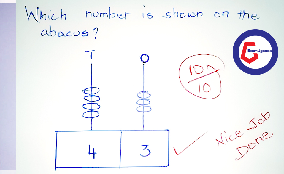 Primary One:End of Year: MATH – Holiday Work 2024